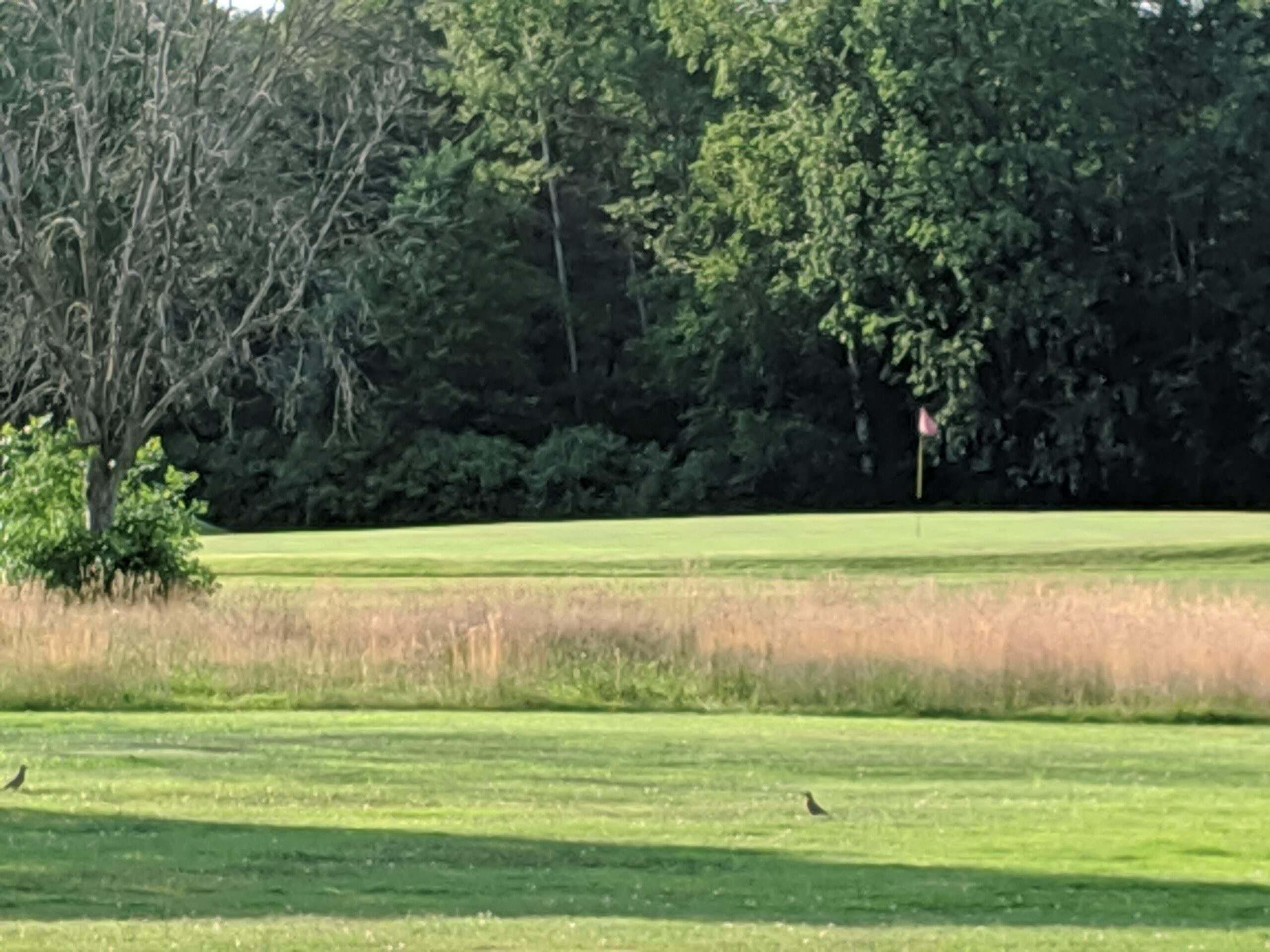 Loaves Of Grace Golf Tournament